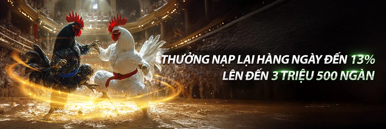 Đá gà trực tiếp 22 5 trận 10 kịch tính